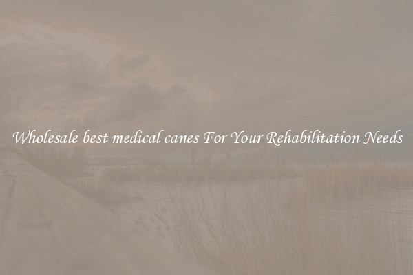 Wholesale best medical canes For Your Rehabilitation Needs