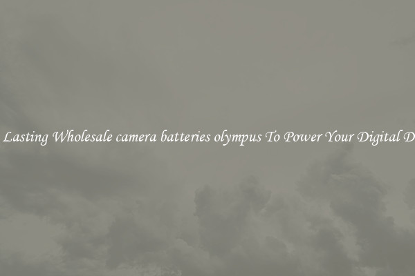 Long Lasting Wholesale camera batteries olympus To Power Your Digital Devices