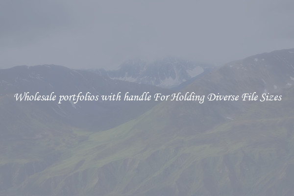 Wholesale portfolios with handle For Holding Diverse File Sizes