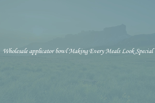 Wholesale applicator bowl Making Every Meals Look Special