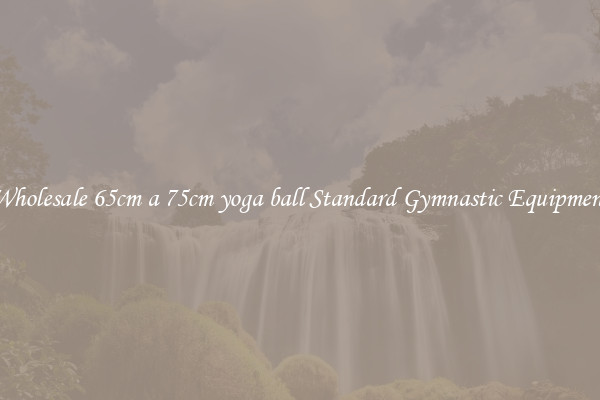 Wholesale 65cm a 75cm yoga ball Standard Gymnastic Equipment