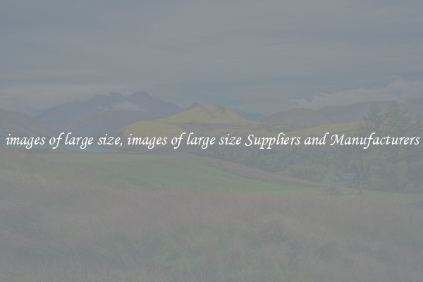 images of large size, images of large size Suppliers and Manufacturers