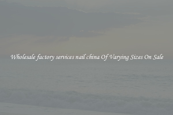 Wholesale factory services nail china Of Varying Sizes On Sale