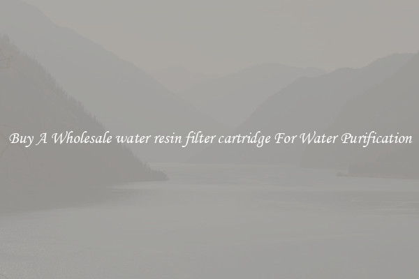 Buy A Wholesale water resin filter cartridge For Water Purification
