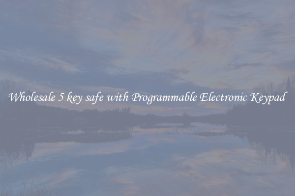 Wholesale 5 key safe with Programmable Electronic Keypad 