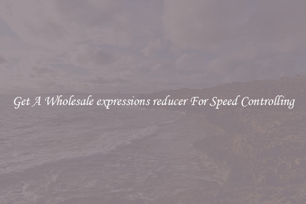 Get A Wholesale expressions reducer For Speed Controlling