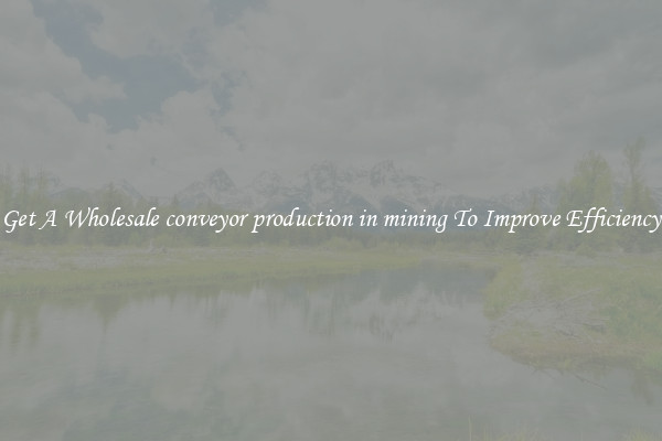 Get A Wholesale conveyor production in mining To Improve Efficiency