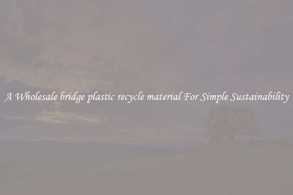  A Wholesale bridge plastic recycle material For Simple Sustainability 