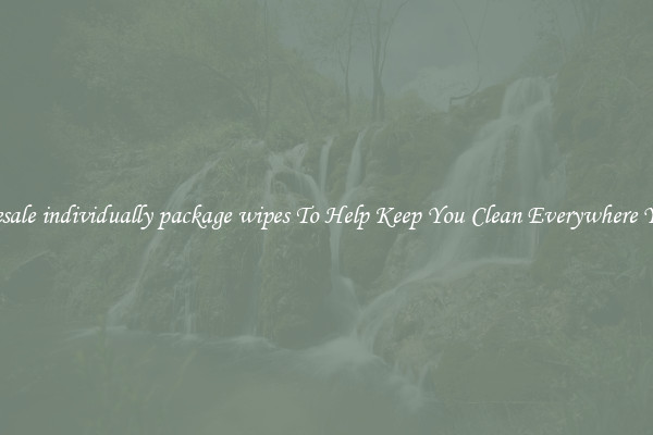 Wholesale individually package wipes To Help Keep You Clean Everywhere You Go