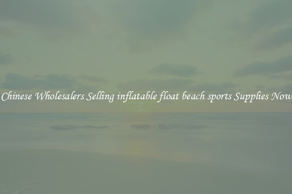 Chinese Wholesalers Selling inflatable float beach sports Supplies Now
