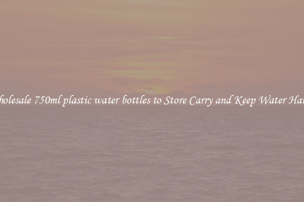 Wholesale 750ml plastic water bottles to Store Carry and Keep Water Handy