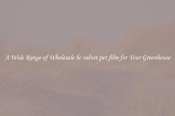A Wide Range of Wholesale hc velvet pet film for Your Greenhouse