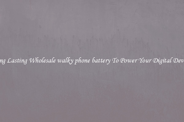 Long Lasting Wholesale walky phone battery To Power Your Digital Devices