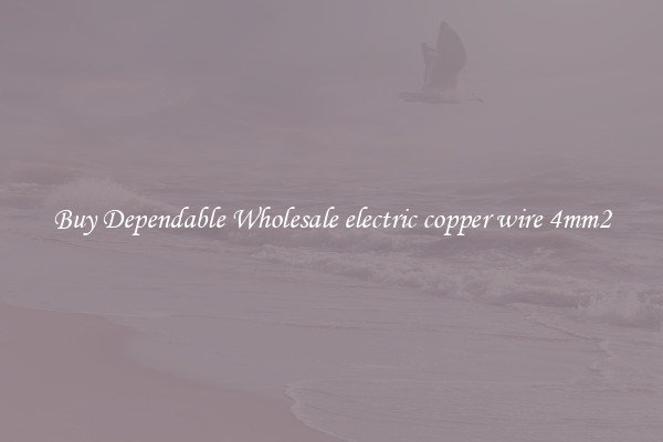 Buy Dependable Wholesale electric copper wire 4mm2