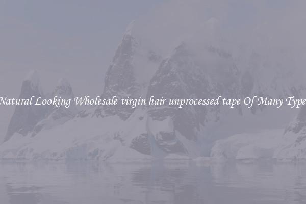 Natural Looking Wholesale virgin hair unprocessed tape Of Many Types