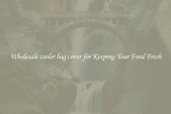 Wholesale cooler bag cover for Keeping Your Food Fresh