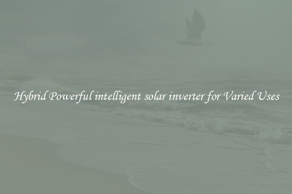 Hybrid Powerful intelligent solar inverter for Varied Uses