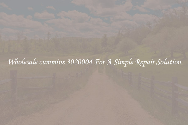 Wholesale cummins 3020004 For A Simple Repair Solution