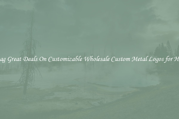 Snag Great Deals On Customizable Wholesale Custom Metal Logos for Hats