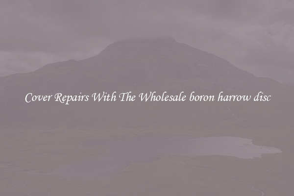  Cover Repairs With The Wholesale boron harrow disc 
