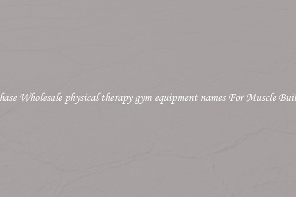 Purchase Wholesale physical therapy gym equipment names For Muscle Building.