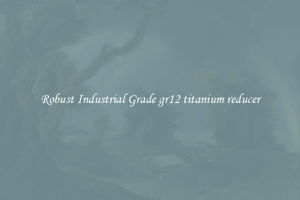 Robust Industrial Grade gr12 titanium reducer