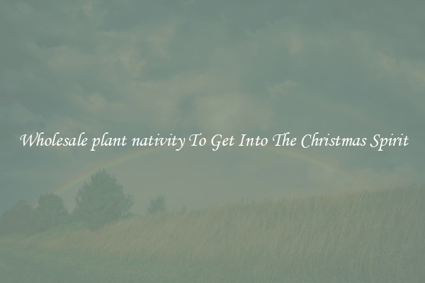Wholesale plant nativity To Get Into The Christmas Spirit