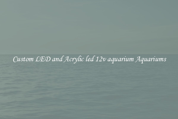 Custom LED and Acrylic led 12v aquarium Aquariums
